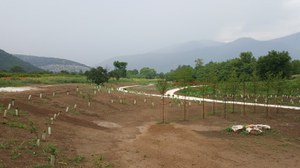 azione 2.jpg