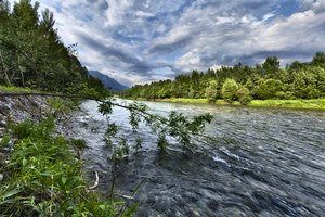 Fiume Oglio - Ph. C. Piccinelli (2).jpg