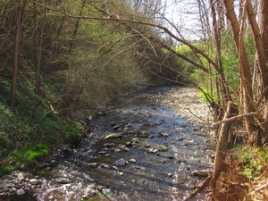 Torrente Lura_03