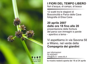 invito mostra fiori