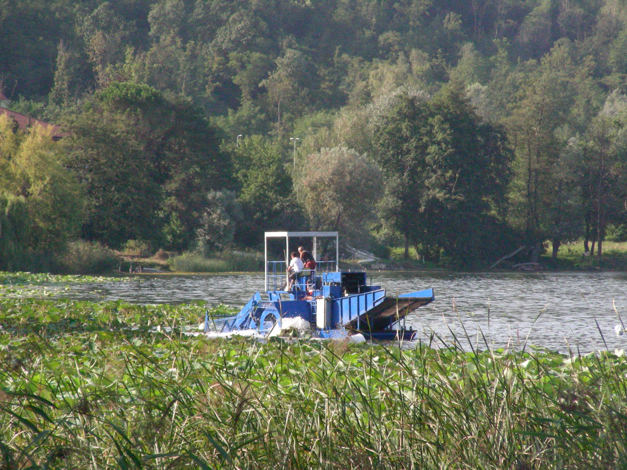 Biomanipolazione sfalcio (22-ago-2006)