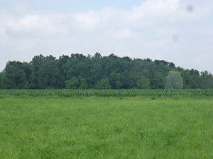 Boschetto Cascina Campagna