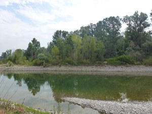 Bosco de l'Isola