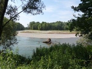 Isola Uccellanda