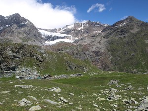 SIC Scerscen - Ghiacciaio Fellaria_fotoFedericaGironi