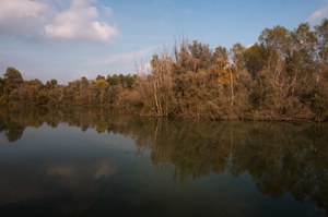 Parco Adda Sud_PhotoRobertoMusumeci