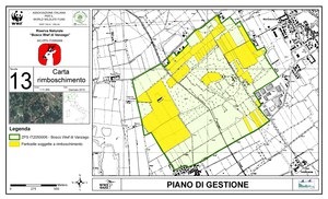 Carta rimboschimento