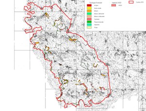 Carta degli habitat