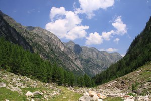 Val Bodengo, tra Corte Terza e Corte Seconda - foto Zavagno.jpg