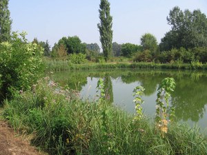 Lago-un anno dopo il ripristino delle sponde