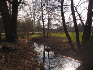 Area umida ambito agricolo.JPG