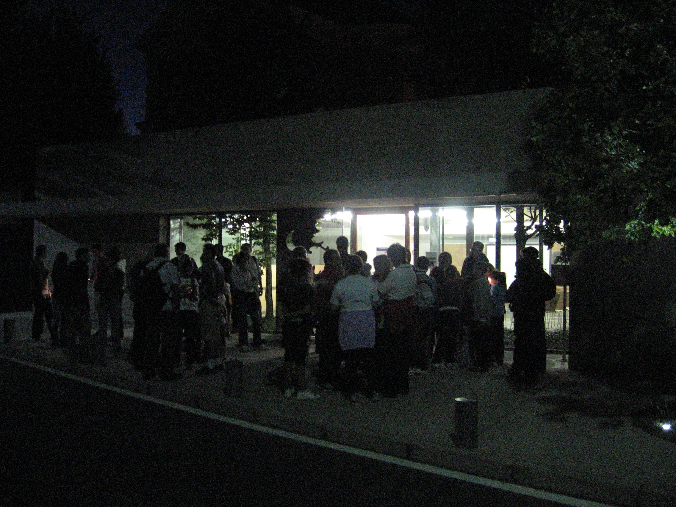 NEL BOSCO DI NOTTE_01.JPG