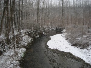 Torrente Lura invernale.JPG