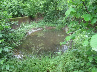 Vasca centro biodiversità.jpg