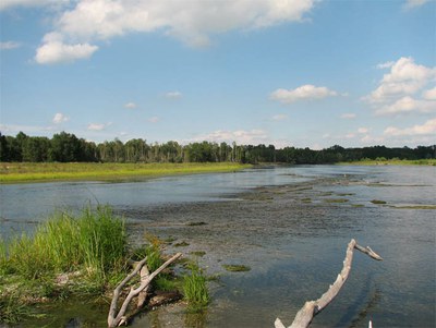 Il fiume a Sanvarese - Parco Ticino