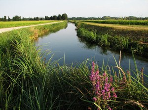 Roggia Castellana - Parco del Ticino