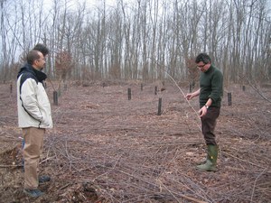 Cascina Forestina_pacciamatura