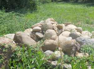 azione 6 - nuovo rifugio per rettili - Caponago.jpg