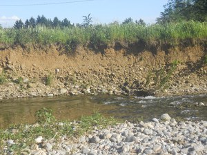 azione 7 - fori su sponde per nidificazione Martin pescatore - Burago di Molgora.JPG