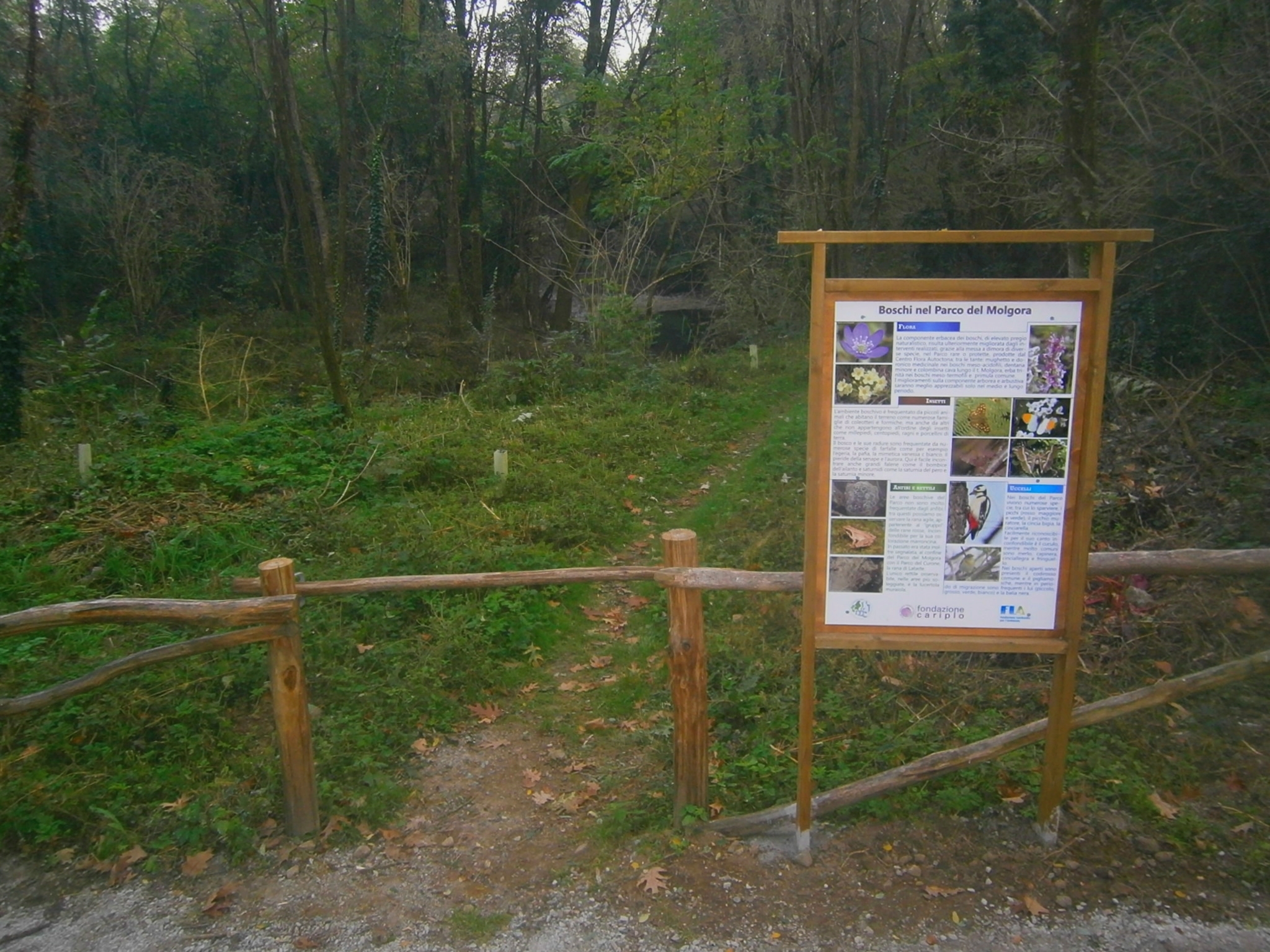 azione 8 - nuovi pannelli didattici e staccionate - Vimercate.JPG
