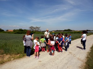 azione 9 - educazione ambientale in campo con scuolaresche - Agrate Brianza.JPG