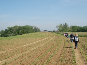 azione 9 - educazione ambientale in campo scolaresche - Vimercate.JPG