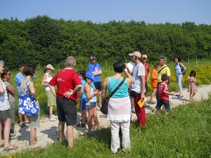 azione 9 - visita guidata entomologica - Usmate Velate.JPG