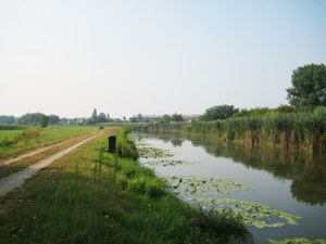 Canneto fiume gambara