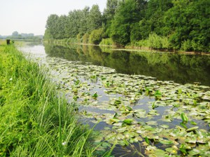 Sponda fiume gambara